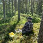 Vastaus aivojen ylikuormaan